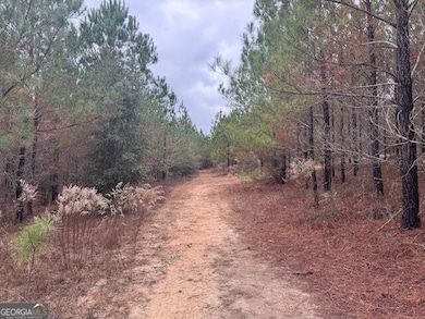 60.06 AC. Daisy Walker Rd, Tennille, GA 31089 - photo 6