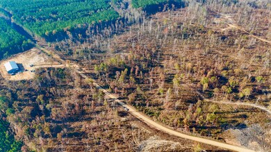 6 County Road 4251, New Site, MS 38859 - photo 7