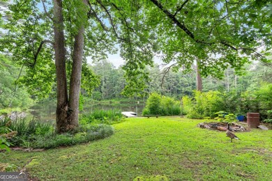 This is part of the back yard looking toward the dock. Geese nest here. There is a firepit behind the goose.