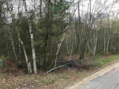 0 Fairway Dr unit 4 4752646, Ashland, NH 03217 - photo 3