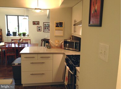 1658 Parkcrest Cir unit 300, Reston, VA 20190 - photo 5