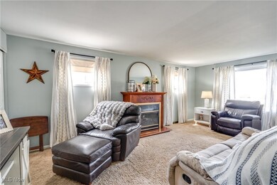 597 Herbert Rd, Akron, OH 44312 - photo 7