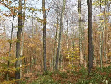0 Happy Hollow Rd unit 4618716, Huntington, VT 05462 - photo 5