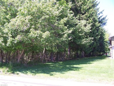 View of right (east) property line.