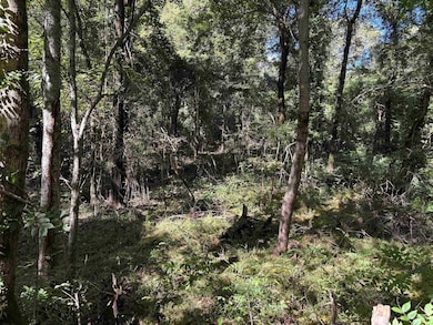 0 Bethuel Rd unit 1, Unincorporated, TN 38053 - photo 6