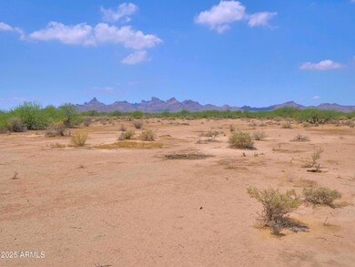 02 S Payne St unit Lot-B, Eloy, AZ 85131 - photo 2