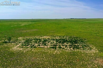 Leach field