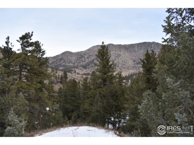 0 Deer Path unit 870723, Bellvue, CO 80512 - photo 2