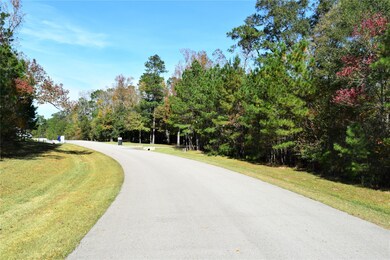 0 Sky Forest Cir unit 81862688, Magnolia, TX 77355 - photo 2