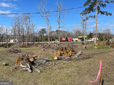 0 E Spring St, Mount Vernon, GA 30445 - photo 4