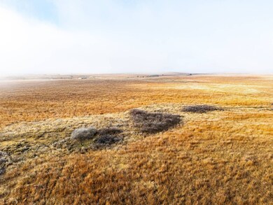 TBD S County Rd 170, Shattuck, OK 73858 - photo 6