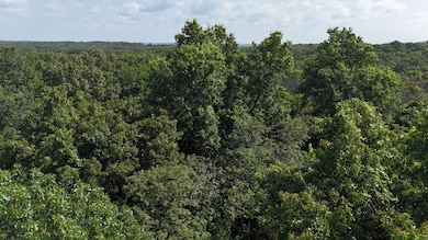 6815 U S 54, Collins, MO 64738 - photo 6