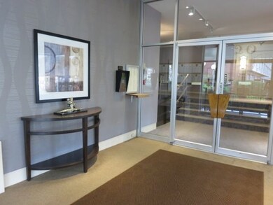 Hammond Park Condominiums unit 305, Chestnut Hill, MA 02467 - photo 4