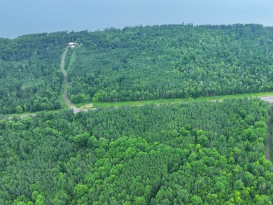 Aerial view of property and surrounding area with a heavily wooded area
