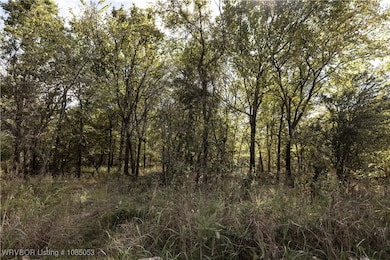 TBD SE 575, Locust Grove, OK 74352 - photo 6