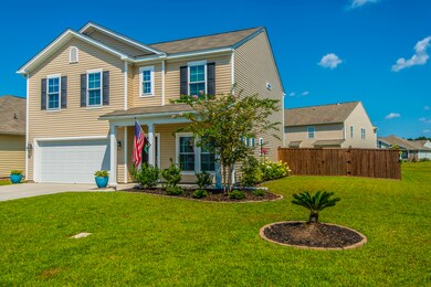 Front Landscaping/Fence