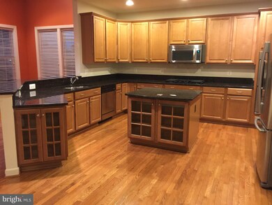 25334 Understanding Ct, Aldie, VA 20105 - photo 5