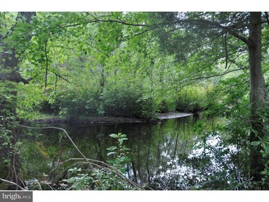 118 Mount Misery Rd, Browns Mills, NJ 08015 - photo 5