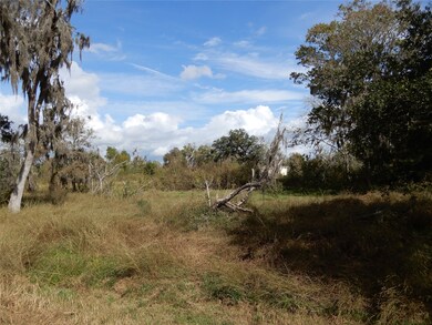 808 County Road 388c, Brazoria, TX 77422 - photo 3