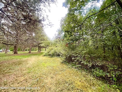 0 Cairo Junction Rd unit 20253145, Catskill, NY 12414 - photo 6