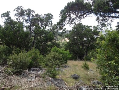 19411 Terra Stone, San Antonio, TX 78255 - photo 7