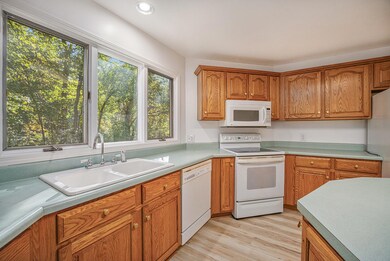 44811 Paw Rd, Paw Paw, MI 49079 - photo 5