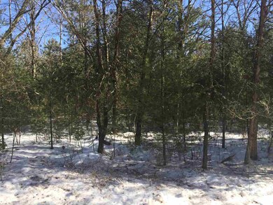 L41 Cranberry Creek Rd, Cutler, WI 54618 - photo 7