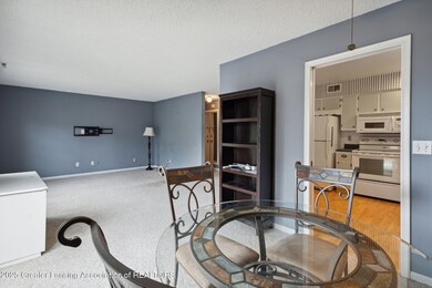 3333 Moores River Dr unit 812, Lansing, MI 48911 - photo 6