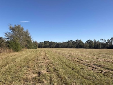 Tbd County Road 4316, de Kalb, TX 75559 - photo 4