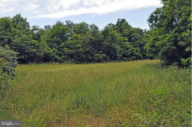 13104 Crest Hill Rd, Flint Hill, VA 22627 - photo 3