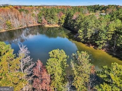 1822 Slate Rd, Ellenwood, GA 30294 - photo 7