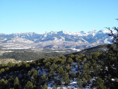 cimarrons very nice