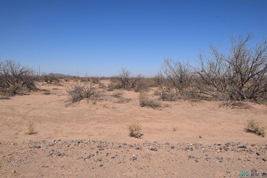 0, Deming, NM 88030 - photo 3