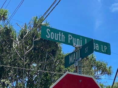 15-174 Puni Lapa Loop N, Hawaiian Beaches, HI 96778 - photo 6