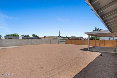 27-Back yard