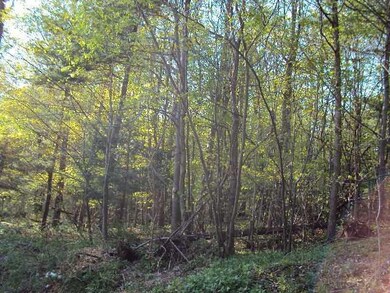 Land/Lot