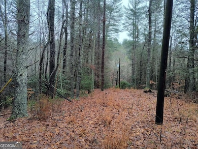 Lot 39 Kells Ridge Dr unit 39, Ellijay, GA 30540 - photo 7