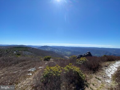 39 Kile Knobe Rd, Franklin, WV 26807 - photo 3