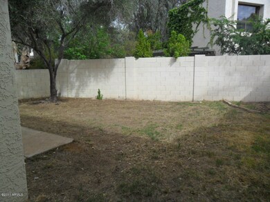 023-323681 backyard