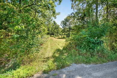 189 Sutton Rd, Cornwallville, NY 12418 - photo 4