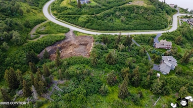 DJI_0855