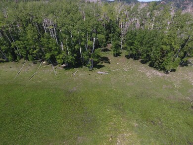 DJI_0243