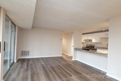 9500 Shannon Green Dr unit C, Charlotte, NC 28213 - photo 4