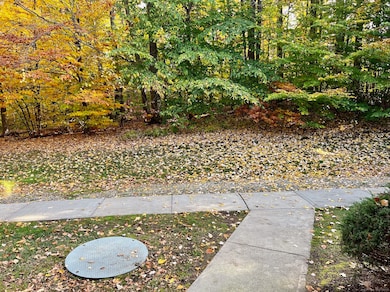 308 Conestoga Way, Glastonbury, CT 06033 - photo 3