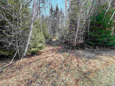 33 Leigh Ln unit 28, Colebrook, NH 03576 - photo 3