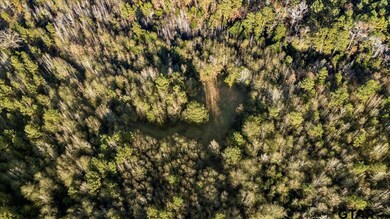 1448 County Road 3310, Jacksonville, TX 75766 - photo 5