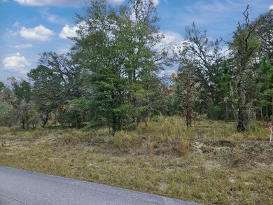 1281 SW Viburnum Rd, Dunnellon, FL 34431 - photo 5