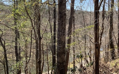 Additional View