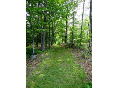 0 Baynes Rd unit 8 4779392, Plainfield, NH 03770 - photo 7