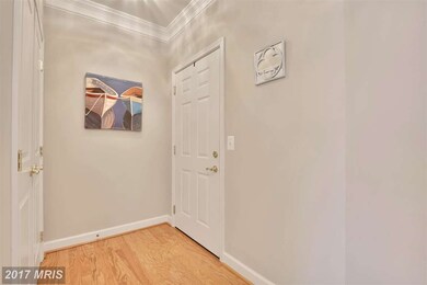 1501 Broadneck Place unit 4-301, Annapolis, MD 21409 - photo 4